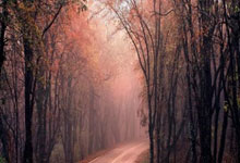 奇异果体育：[NBA]哈登突破抛投不进 莱昂纳德三分命中.