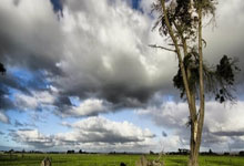 奇异果体育：船记发文吐槽裁判：很期待本场比赛的裁判报告，有人说这是马克·戴维斯的经典吹罚.