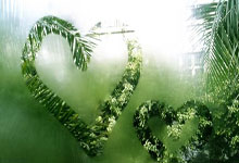 奇异果体育:飞镖世锦赛获亚军 我国70岁老将明年再战.