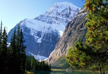 高清：齐尔克泽破门挥拳怒吼 曼联客场1-1战平皇社.